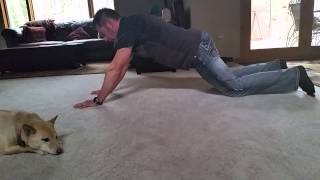 Tiger Plank Pushup Progressions