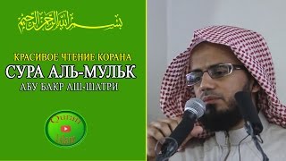 СУРА АЛЬ-МУЛЬК | КРАСИВОЕ ЧТЕНИЕ КОРАНА | АБУ БАКР АШ-ШАТРИ