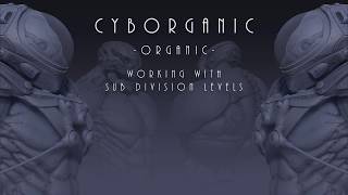ZB Organic 002 Understanding Subdivision Levels