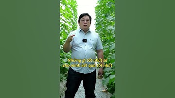 P1- Quan điểm và tầm nhìn trong sản xuất nông nghiệp | Ninh Nguyễn Official #shorts