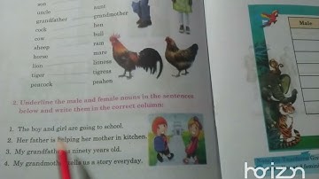 Sindh Text | Class 3 | English | Unit 3.4 | Exercise | Masculine and Feminine Noun