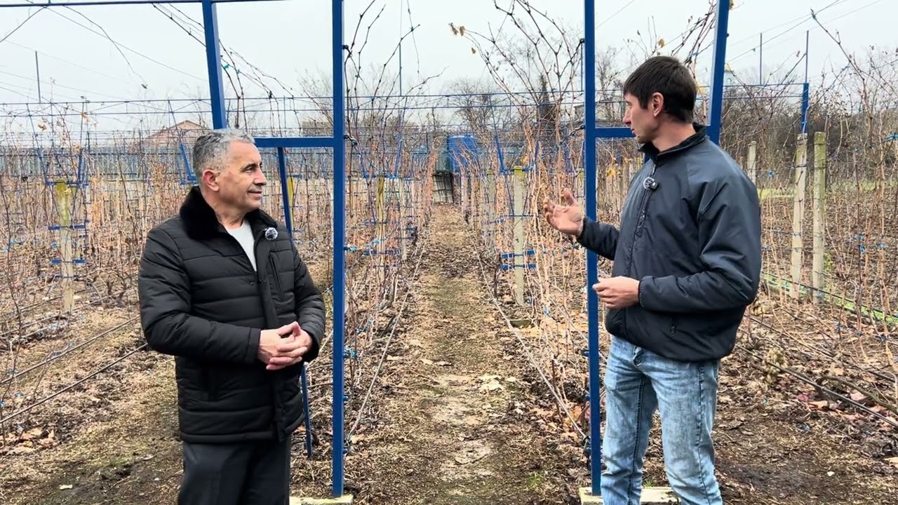 Виноград Максим Моисеенко, уходящий 2025 какие проблемы нам принес и  планы на будующий 2026.