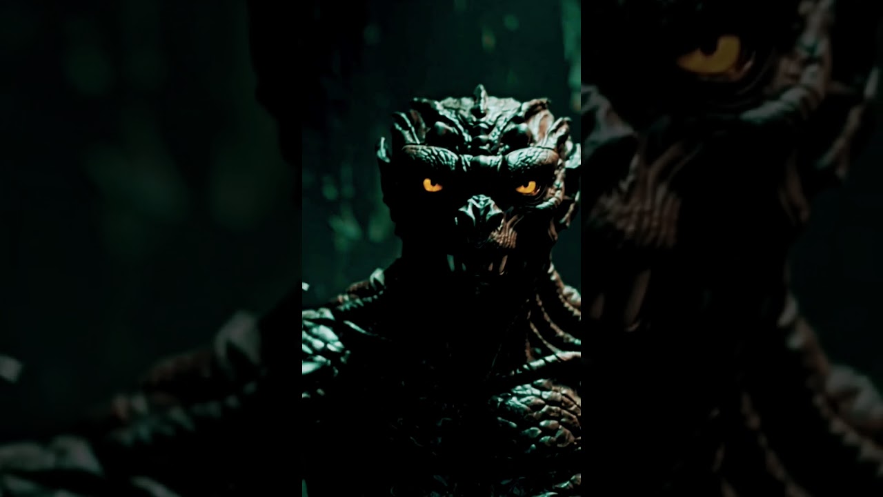 Wearehere - Supreme leader 🦎 