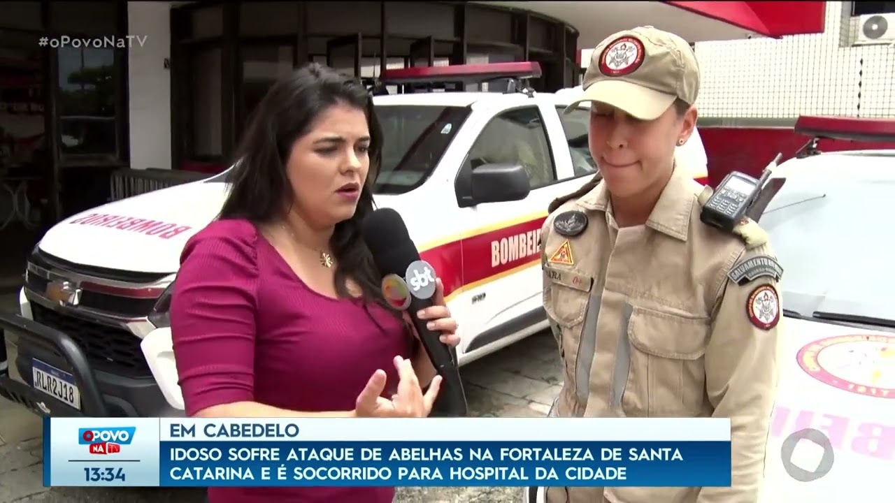 Idoso é atacado por abelhas em ponto turístico da Paraíba - O Povo na TV