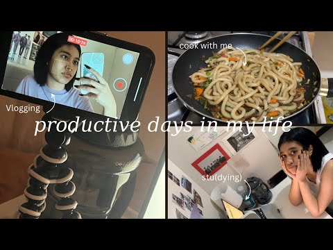 [shs diaries] Productive days in my life - dying my hair black, cooking, school, trip to the mall