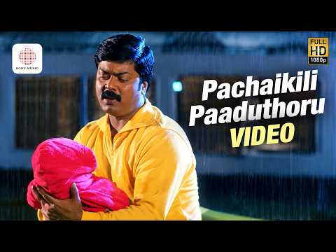 Pachaikili Paaduthoru Video Song | Arivumani | Murali | Meera Vasudevan | Janakaraj