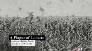 A Plague of Locusts | Nebraska Stories