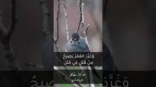 صوت صفير البلبل اردو Safeer Bulbul Urdu English Poem For Kids