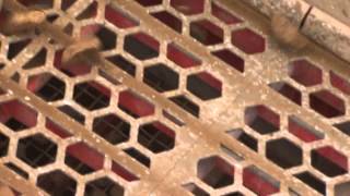 Terex Finlay 893 video