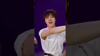 한여름 청춘의 오아시스 그 자체🏝️ㅣThe Wind - Party Like A Rock Star