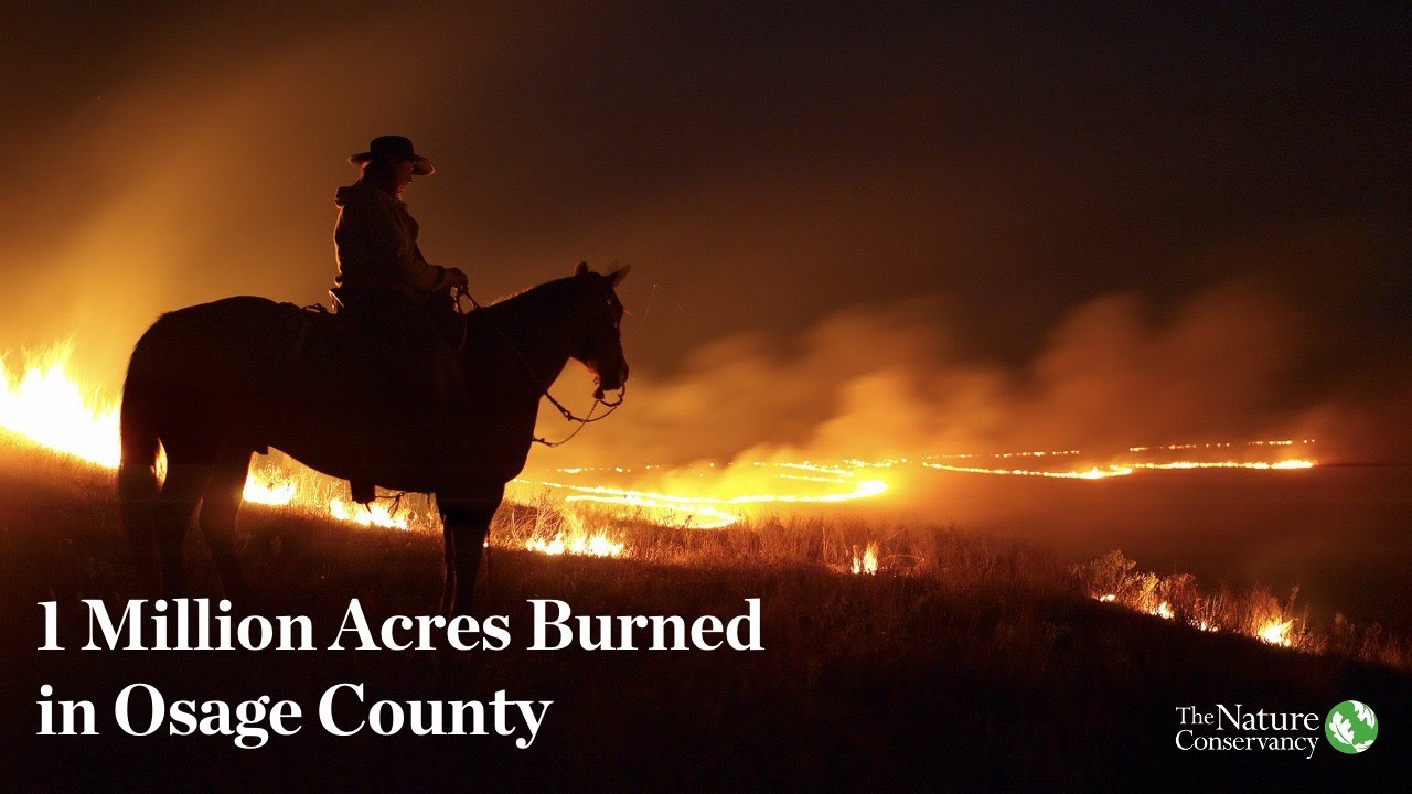 1 Million Acres Burned in Osage County