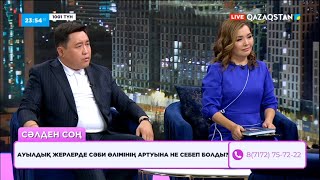 «1001 ТҮН». 79-бағдарлама