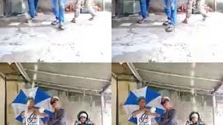 Download Lagu Video lucu anjing kacili part 1 MP3 Download Lagu Video lucu anjing kacili part 1 MP3