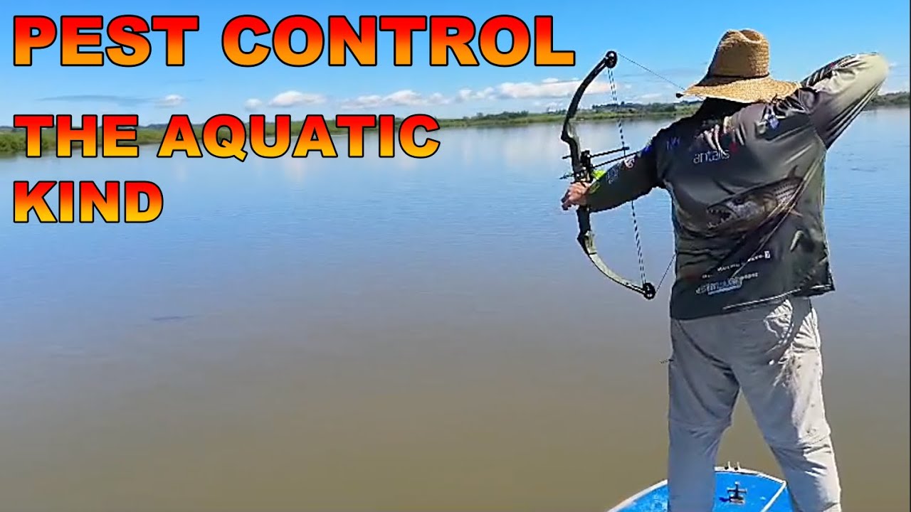 Pest Control No 77 Bow fishing