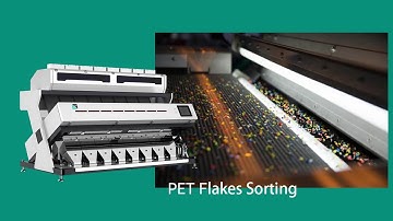 SG Plastic Flakes Sorting Machine/ Plastic Color Sorter