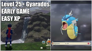 Pokemon Legends: Arceus - How to Catch Flying Gyarados Early On (Great Early Game XP and Pokemon)