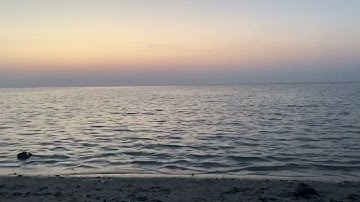 "إن الإنسان خلق هلوعا" || القارئ محمد اللحيدان