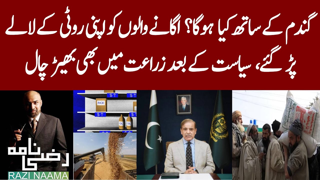Pakistan food crisis | Wheat crisis |Prices of wheat in Pakistan. Razi ...