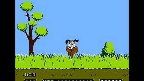 Duck Hunt Duck control