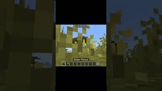 Minecraft but do aise tools  mining ke samay help karta hai #minecraft #viralvideo #minecraftpe