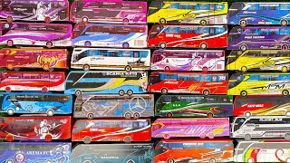 Bus Telolet, Bus Pandawa 87 Transformers, Bus Sky Bird, Bus Antar Lintas Sumatra, Bus NPM. 209