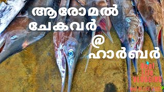 #kollamharbour #fishingharbor #amazingskills #neendakaraharbour
#fishcutting - way of life malayalam vlogs kerala fishing harbour
neendakara kollam v...
