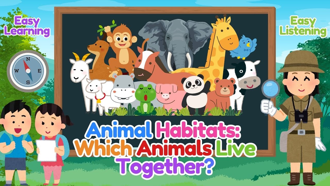 Where Do Animals Live? Fun Animal Habitat Learning for Kids!