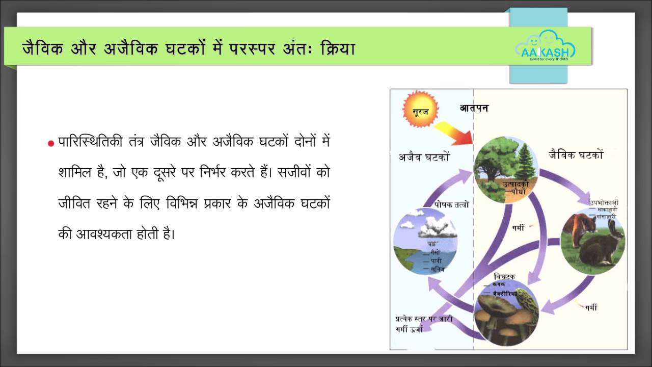 ecosystem ppt presentation in hindi