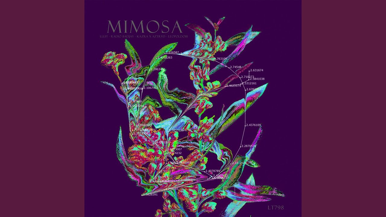Watch Mimosa on YouTube Watch Mimosa on YouTube
