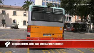 12 agosto 2020 - Concorso Amtab, oltre 3600 candidature per 11 posti screenshot 5