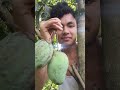 mango eating challenge accepted part 19