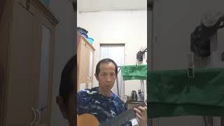 Guitar cover - Donna Donna