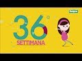 36° settimana di gravidanza