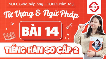 BÀI 14 TỪ VỰNG - NGỮ PHÁP TIẾNG HÀN TỔNG HỢP SƠ CẤP 2 | HỌC TIẾNG HÀN ONLINE