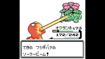 ポケモンhgssレッド誓 ポケモンhgssレッド誓