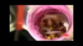 Anthony Bourdain - Jollibee