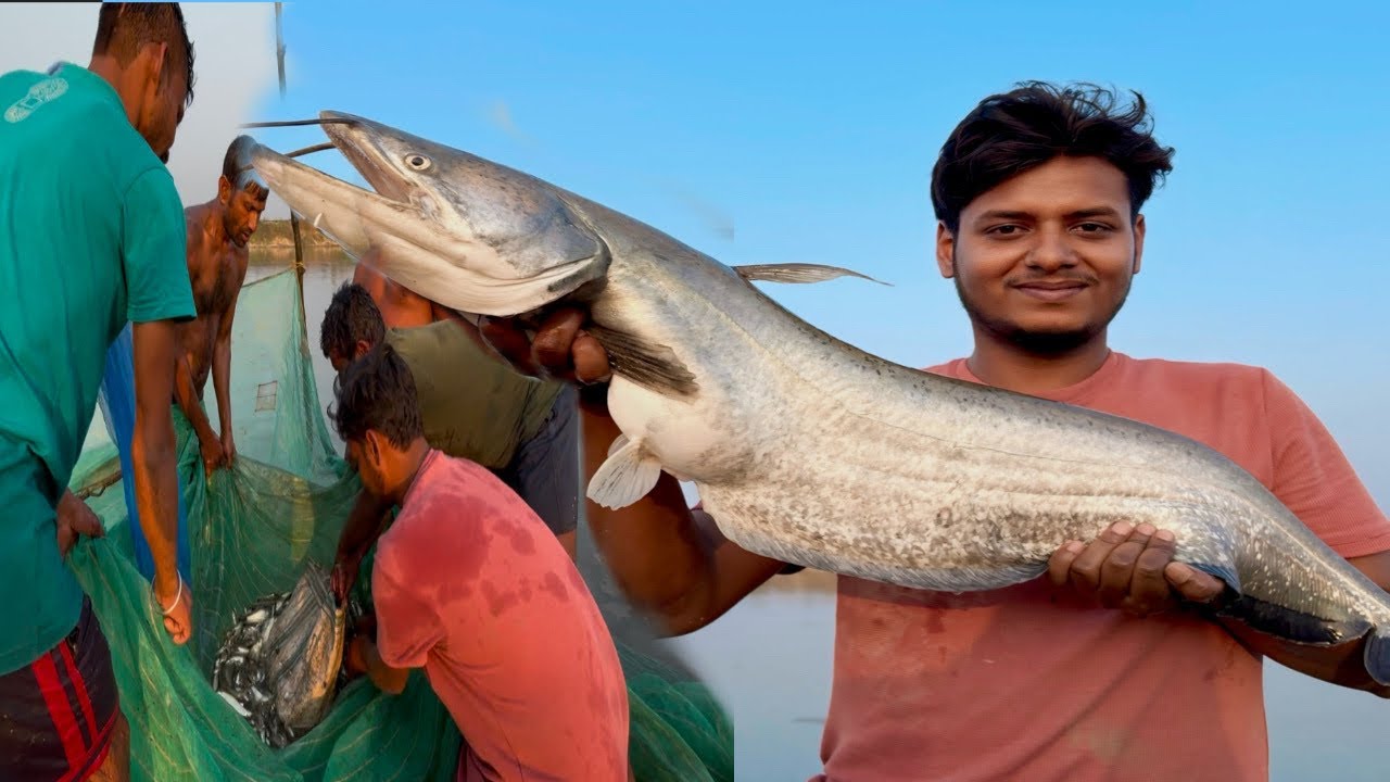 আজ সারাদিন দামোদর নদে কী কী মাছ ধরলাম দেখুন।।damodar river fishing
