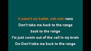 Little Amsterdam Tori Amos Karaoke Lyrics screenshot 3