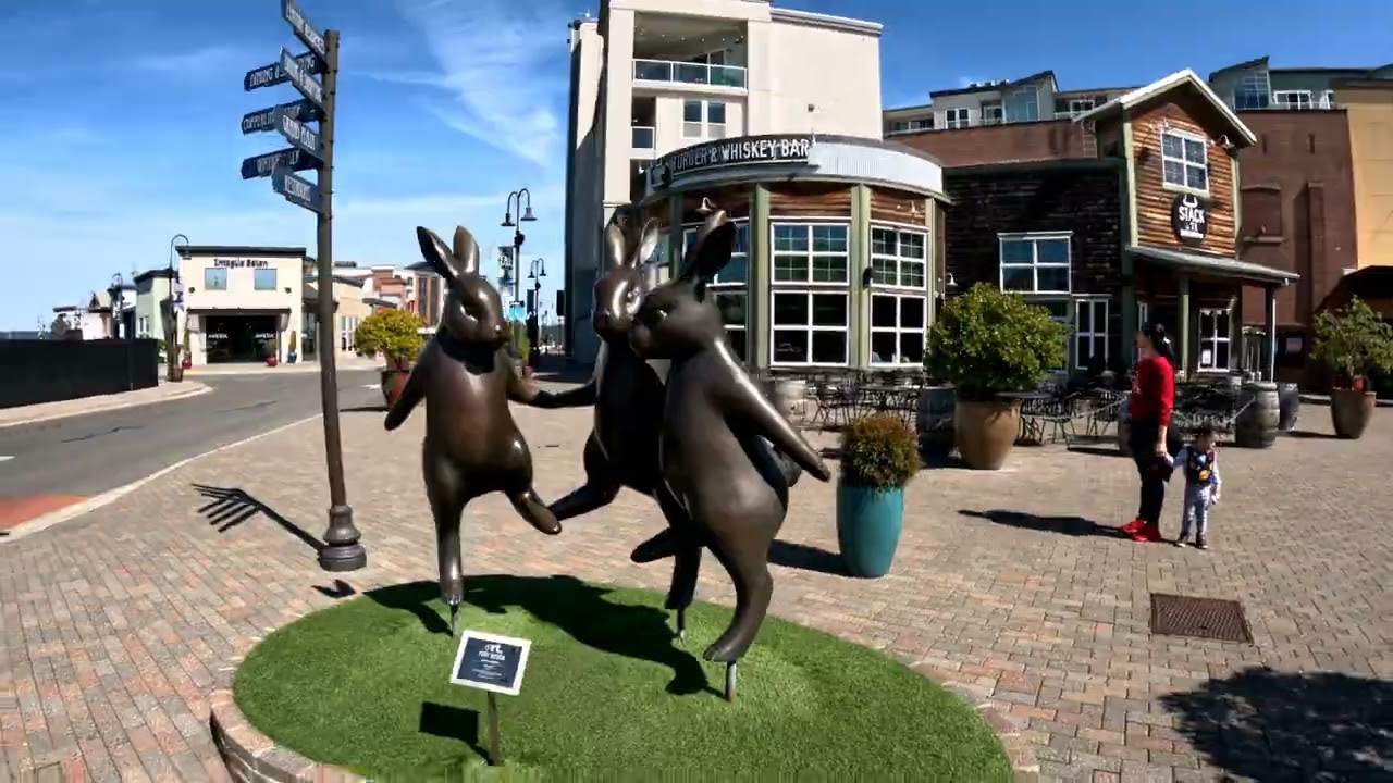 Tacoma in the sunshine—good vibes, great views 