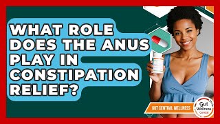 What Role Does The Anus Play In Constipation Relief? - Gut Wellness Central