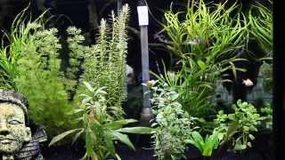 MVI 0041