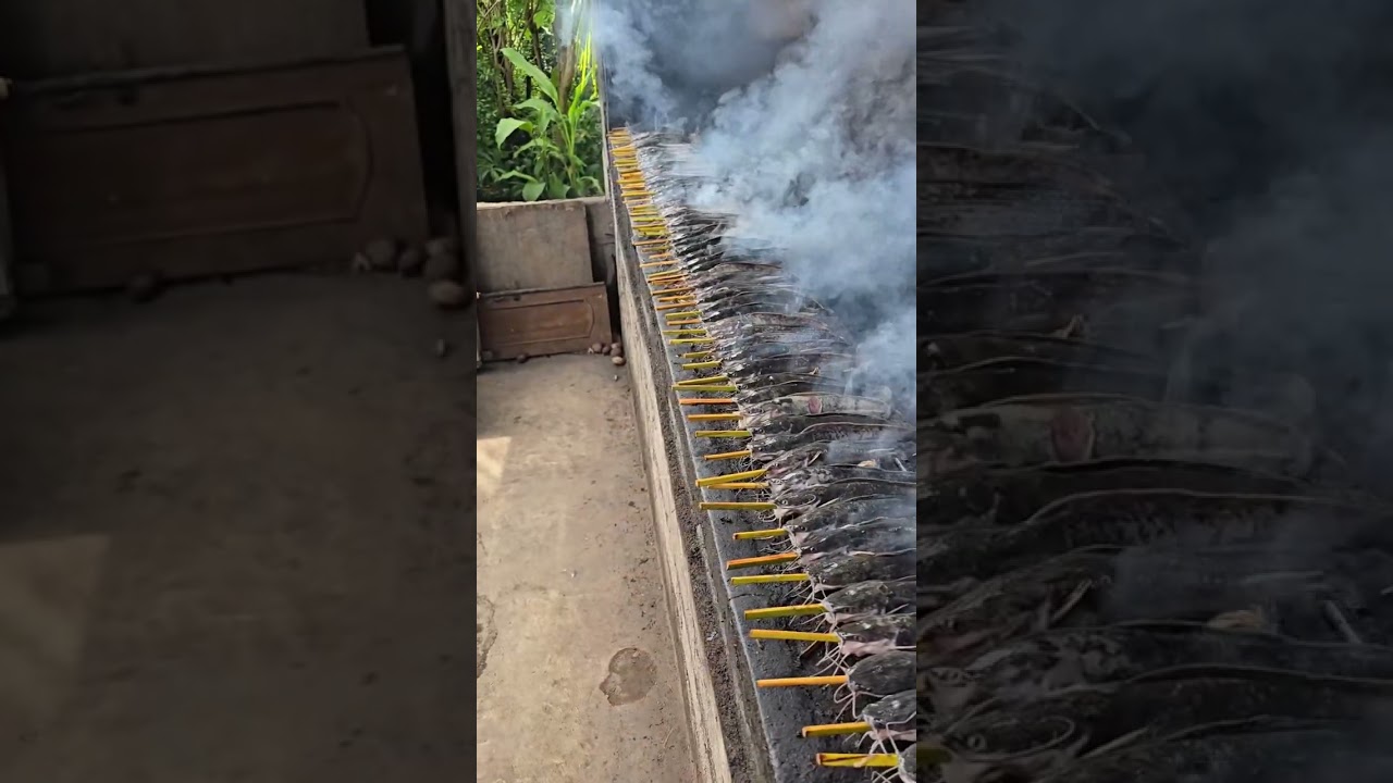 Lele Asap Kering 🤤