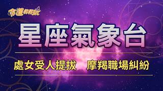 【命運好好玩】2026/6/17星座運勢 - 處女受人提拔　摩羯職場糾紛