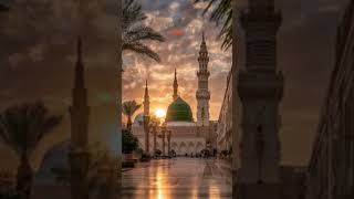 Following The Prophets pbuh Teachings Earns Rewards