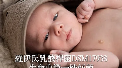 羅伊氏乳酸桿菌DSM17938 | 生命中第一株好菌 | 224篇臨床研究 | 改善健康 - 天天要聞