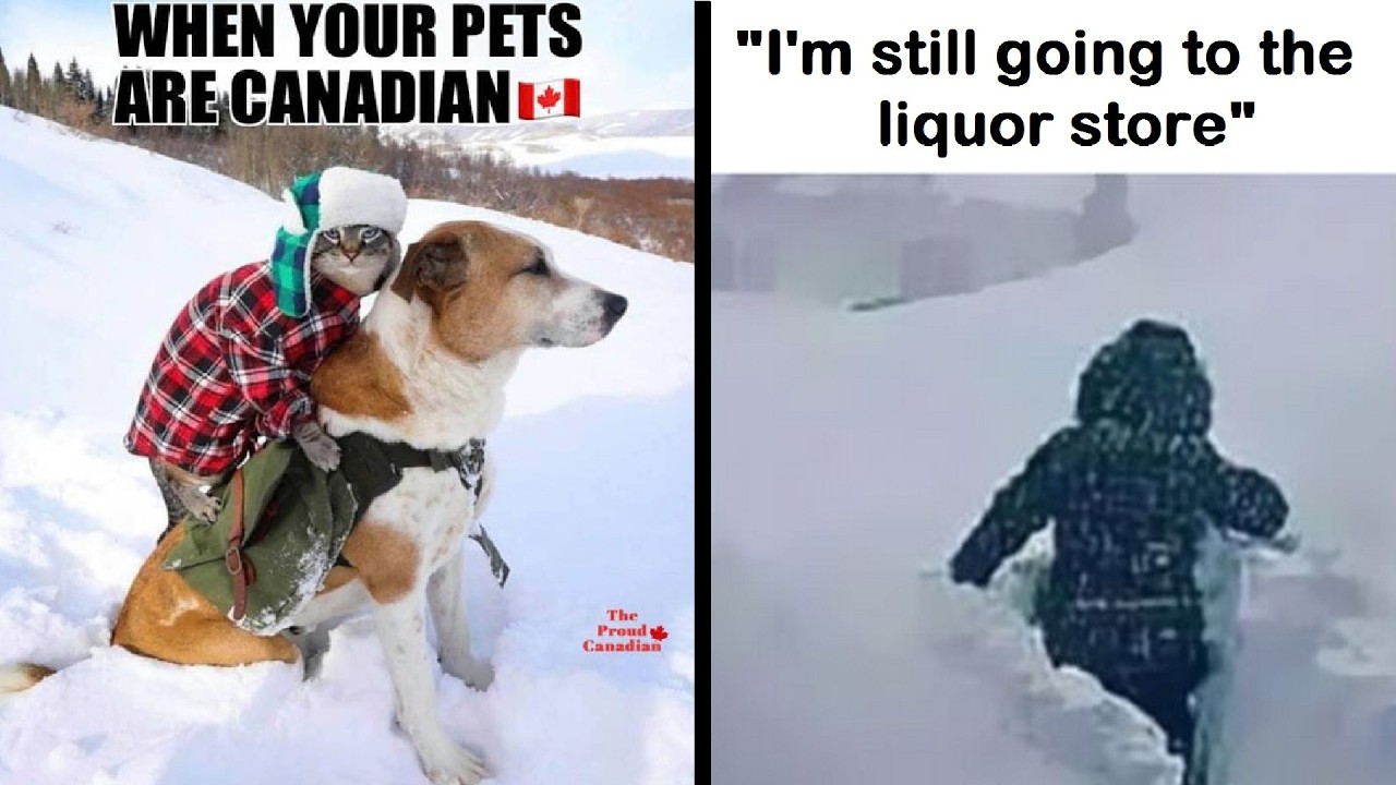 Canada Memes That Will Have You ROFL at Stereotypes