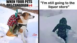 Canada Memes That Will Have You ROFL at Stereotypes