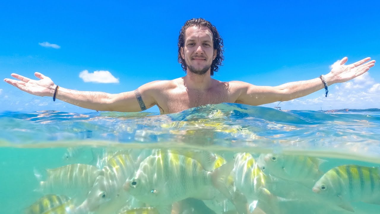 PARADISE IN BRAZIL! MARAGOGI 🇧🇷 ALAGOAS