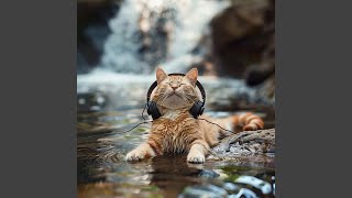 Purr River Calm
