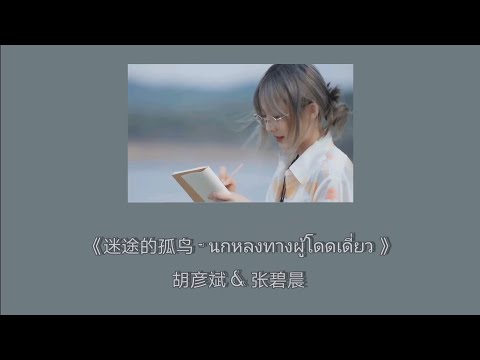 《迷途的孤鸟 -​ นกหลงทางผู้โดดเดี่ยว​ 》胡彦斌 & 张碧晨 [Thaisub​/Pinyin]​
